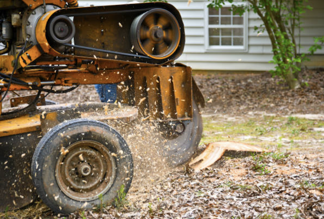 stump removal in Kevil