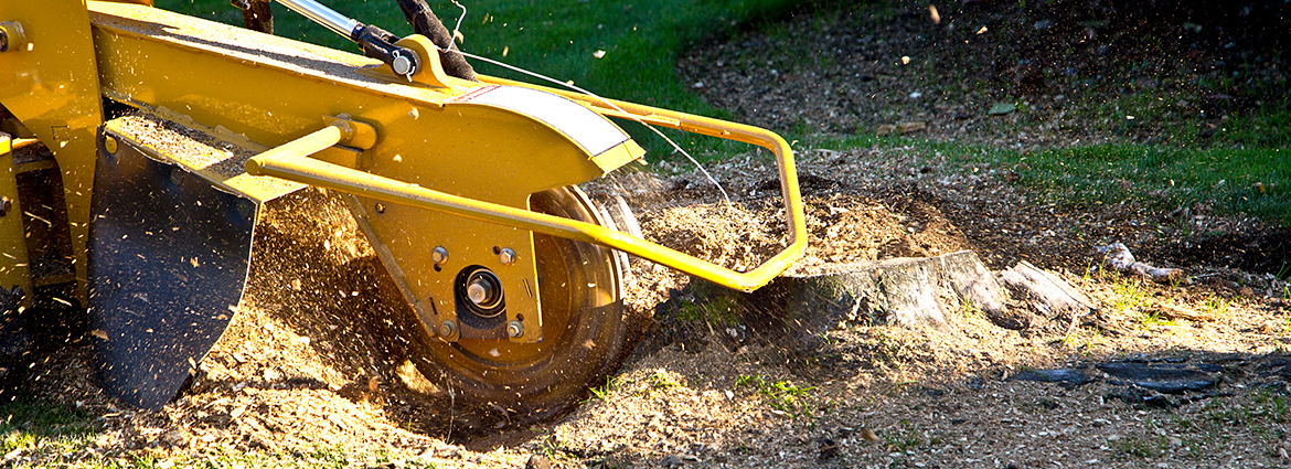 KY Stump Removal